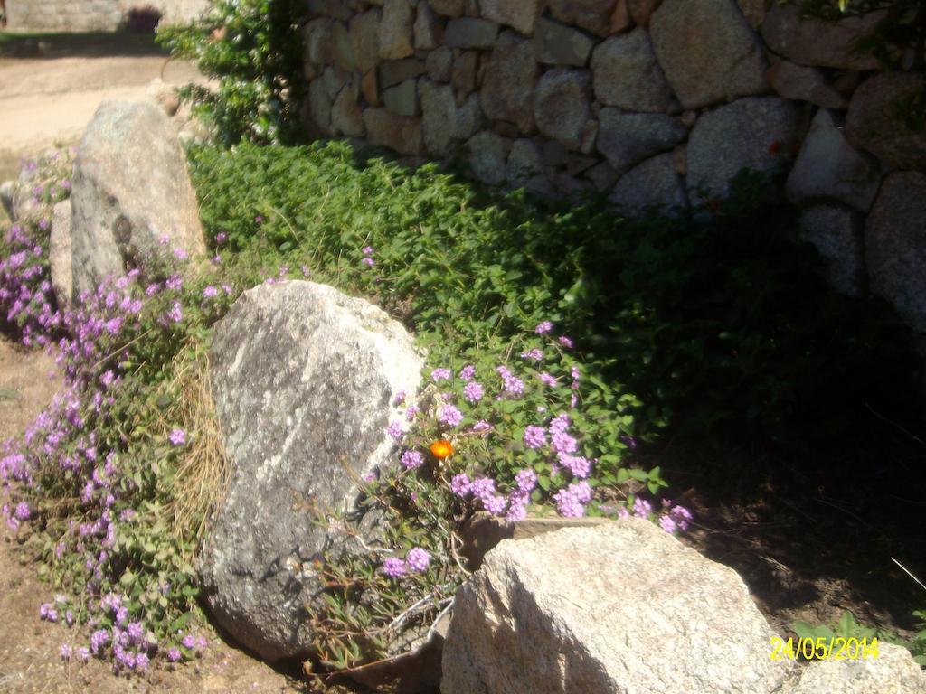 Agriturismo Spridda Bed & Breakfast Arzachena Dış mekan fotoğraf