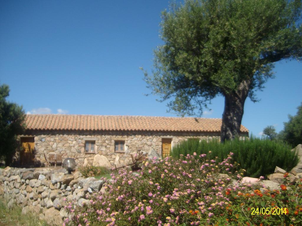 Agriturismo Spridda Bed & Breakfast Arzachena Dış mekan fotoğraf